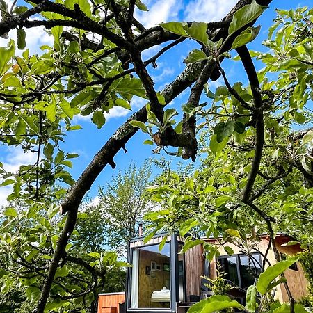 Sadu Elysian Fields - The Island Tiny House B&B 외부 사진