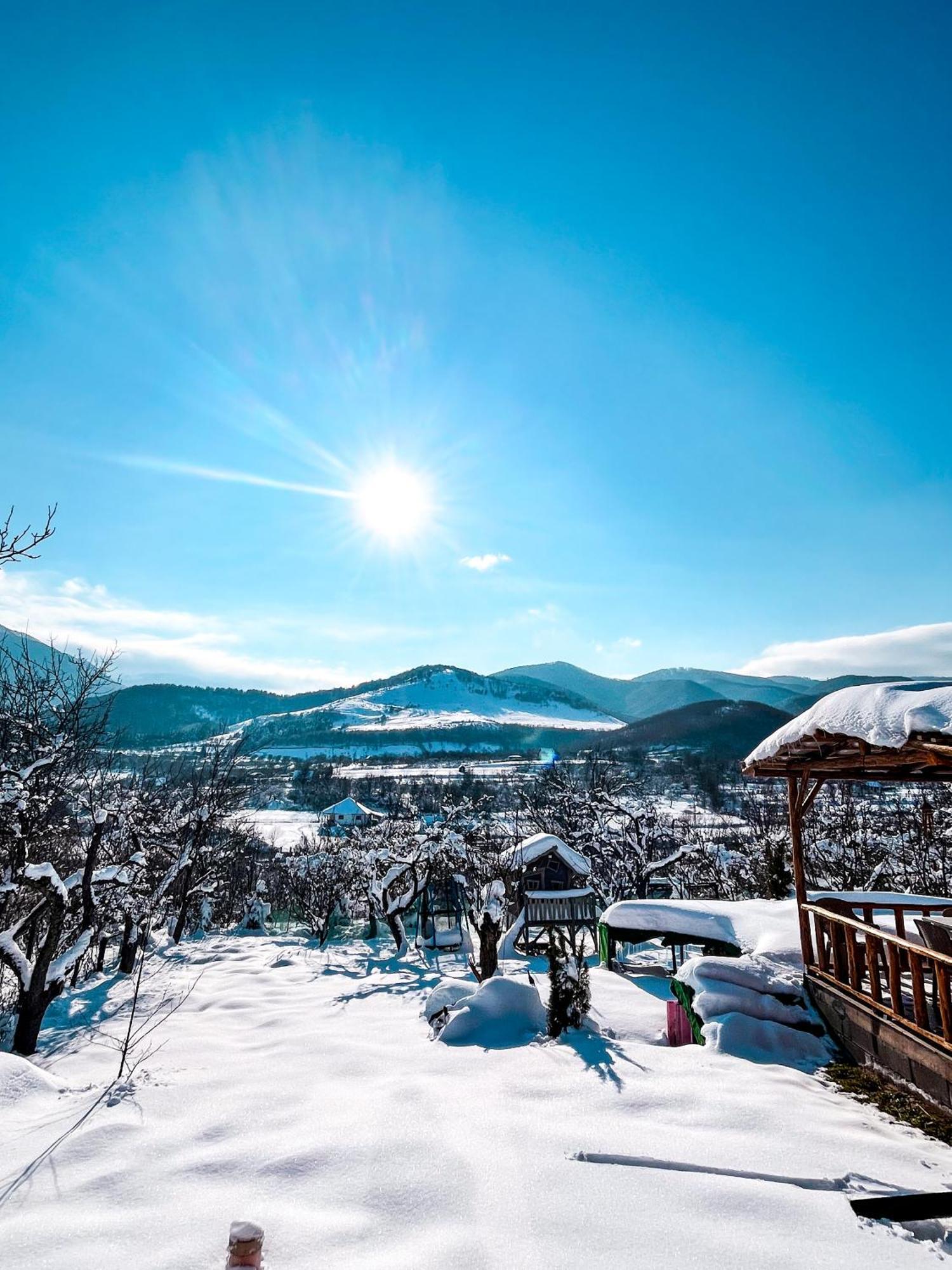 Sadu Elysian Fields - The Island Tiny House B&B 외부 사진