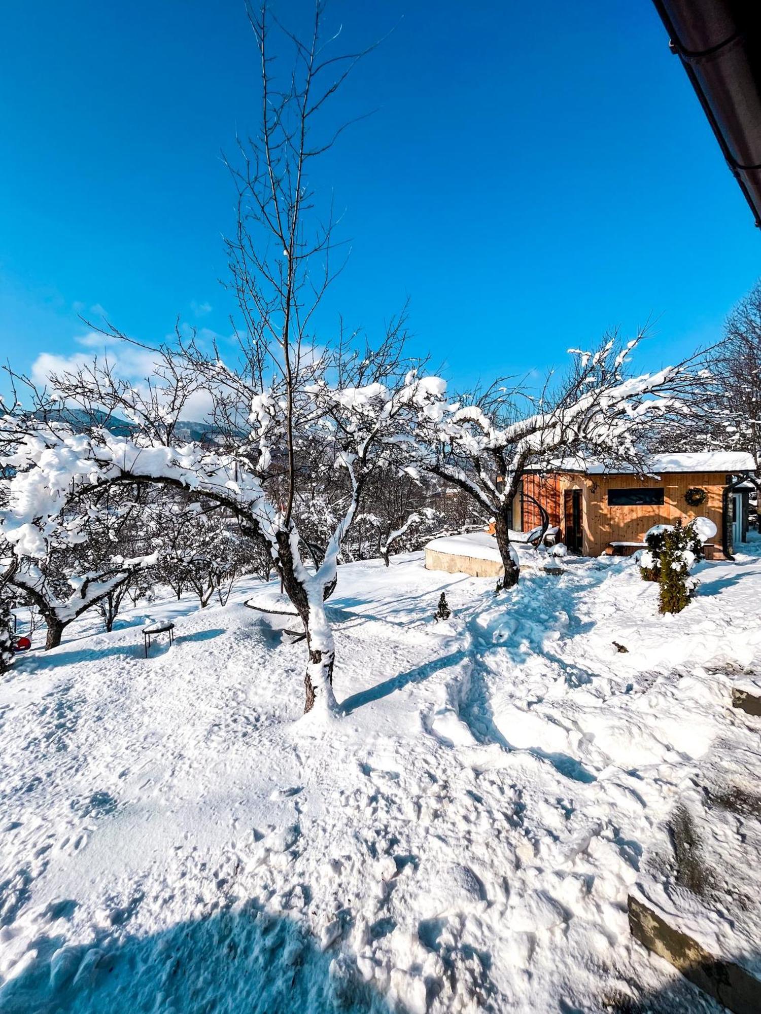 Sadu Elysian Fields - The Island Tiny House B&B 외부 사진