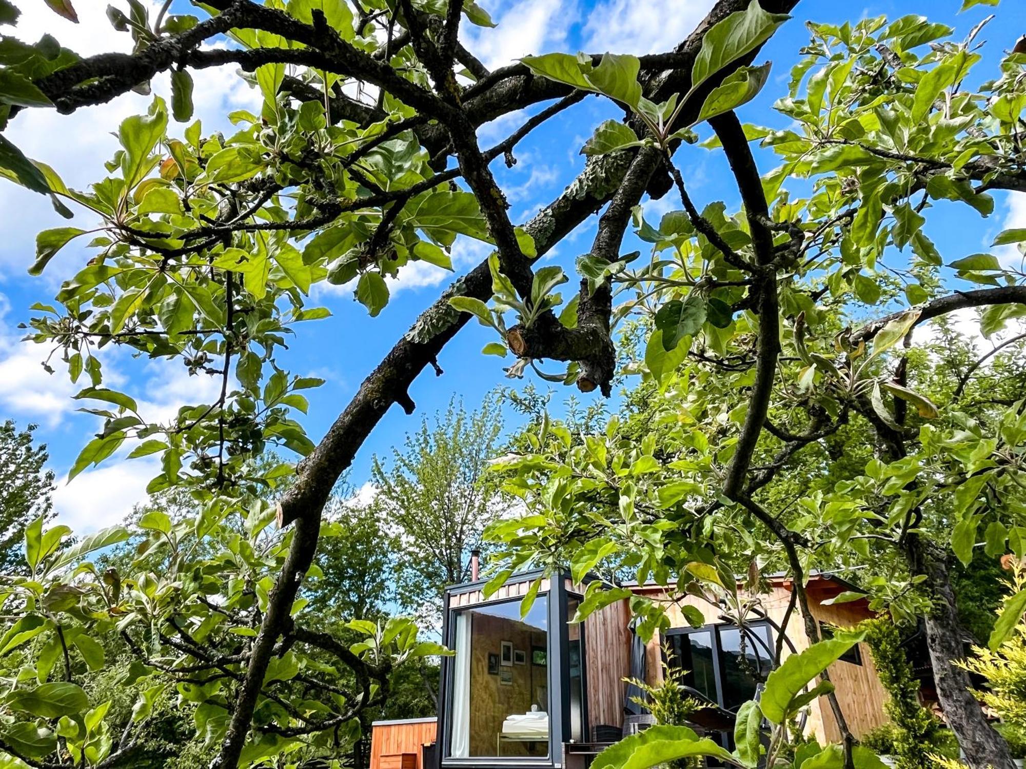 Sadu Elysian Fields - The Island Tiny House B&B 외부 사진